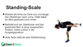 Standing-Scale - SportZens WOW-Workout