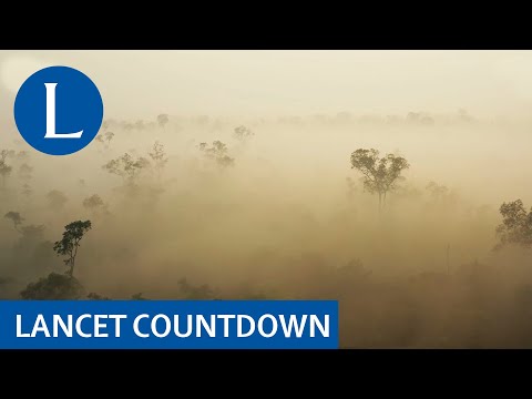 Lancet Countdown 2020: Challenges and solutions