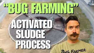 Bug Farming with the Activated Sludge Process a form of Wastewater Treatment.