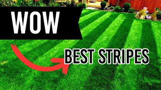 4 UK Summer Lawn Care Mistakes - August [4K]