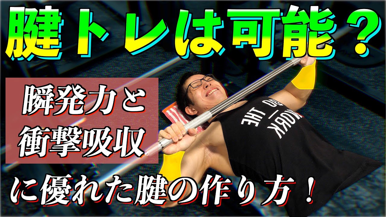 【筋トレ】腱を鍛えることは可能？　　瞬発力と衝撃吸収に優れた腱の作り方！