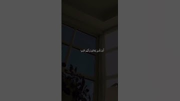 الشيخ ماهر المعيقلي•سورة الحج