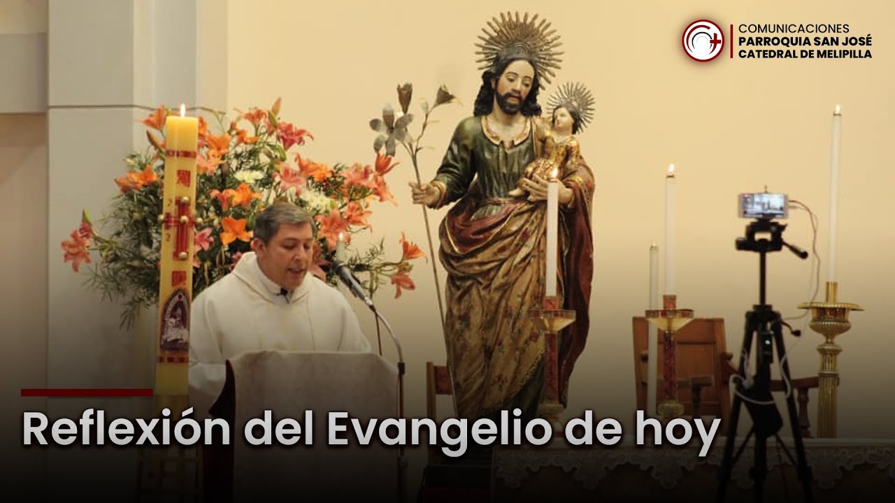 Evangelio de hoy: Domingo 18 de Julio 2021 - YouTube
