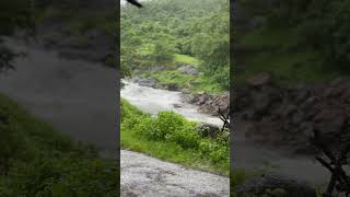 Can’t wait fr this weather #palghar #monsoon2024 #love #song #bollywood