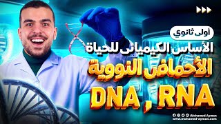 الأحماض النووية?أحياء أولى ثانوى:أهم حصة هتحتاجها فى3ثانوى ✊?❤️