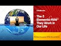 How 5 elements work in our life panch mahabhutindianculturewithpallavi