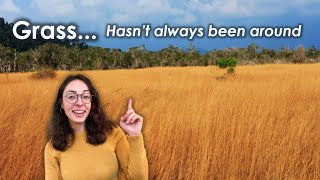Download Lagu What Drove The Spread of Grasslands ~5 Million Years Ago? (New Paper Alert!) w/@GEOGIRL MP3
