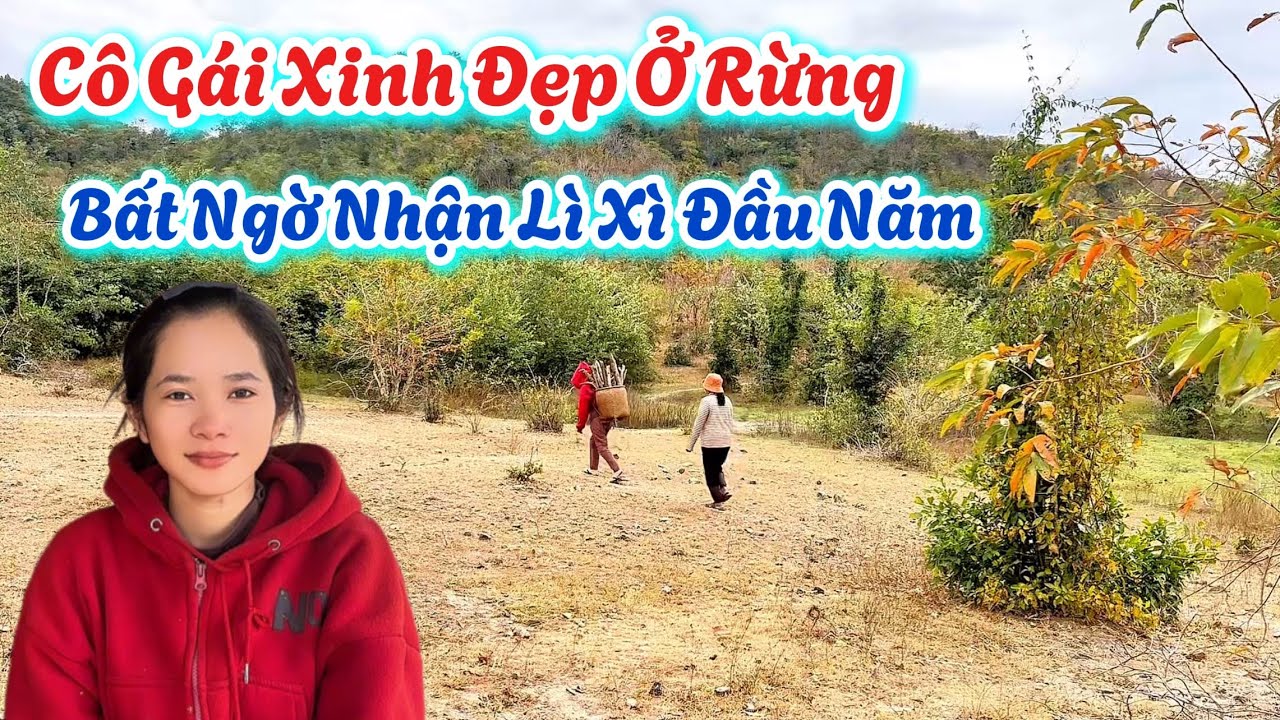 Bất Ngờ. Cô Gái Xinh Đẹp Ở Rừng Là Mẹ Đơn Thân. Nhận Món Quà LÌ XÌ Từ MỸ. | 742