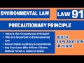 Precautionary Principle Explained | Environmental Law | Easiest Explanation Ever | LLB 4th Sem