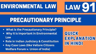 Precautionary Principle Explained | Environmental Law | Easiest Explanation Ever | LLB 4th Sem