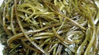 Кулинария с Лизой Салат из морской капусты Кулинария с Лизой Салат из морской капусты