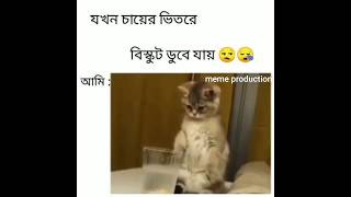 Tea Lover Ll Meme Production