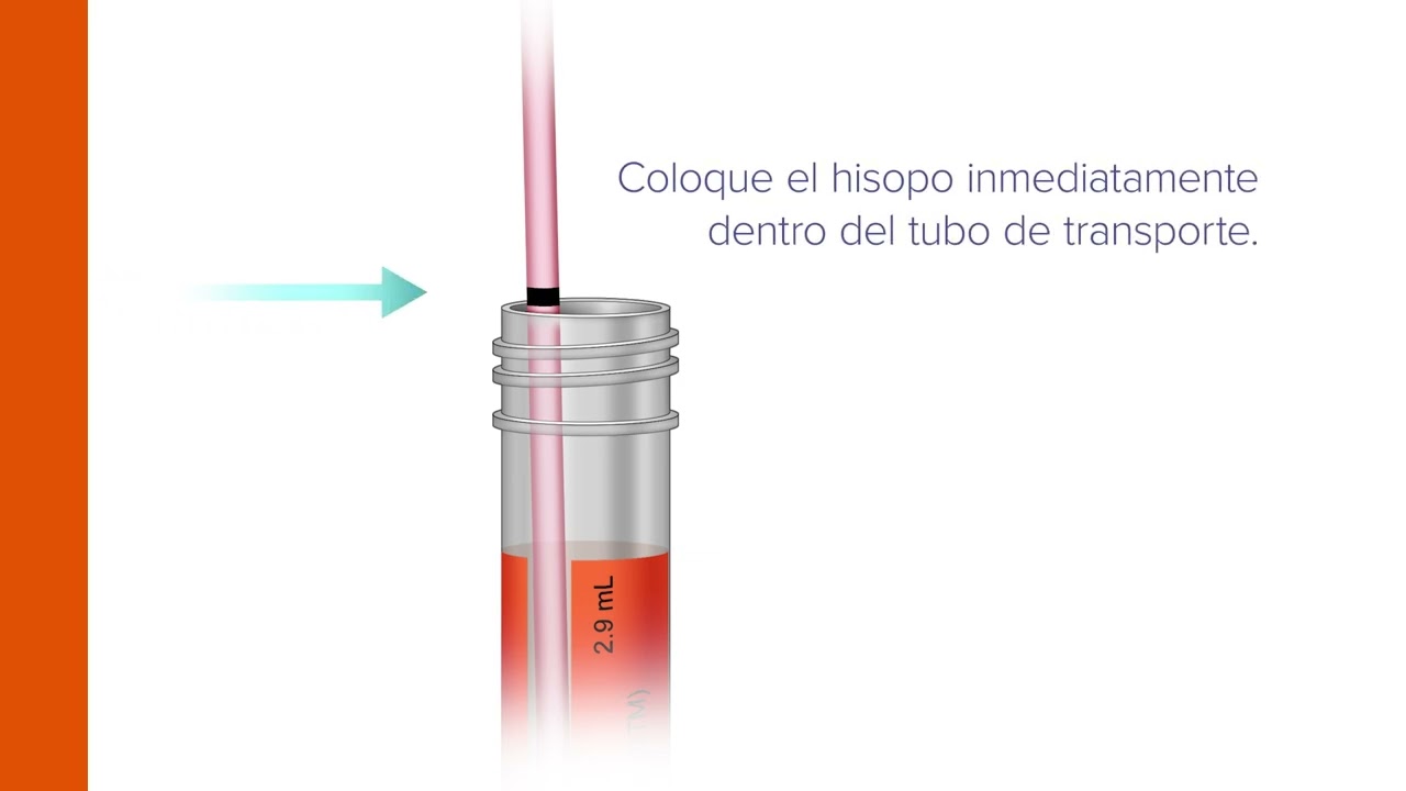 Aptima® Multitest Swab - Patient-Collected Penile Specimen Collection Guide (Spanish)