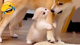 New Funny Videos 2024 😍 Cutest Cats and Dogs 🐱🐶 Part 78