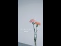 mimi-カーネーション(music video)