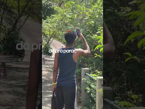 Trilha do Morro da Urca: uma das vistas mais incríveis do Rio!