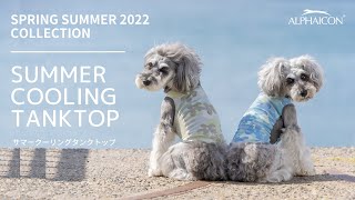 ALPHAICON 犬服 サマークーリングタンクトップ　MLサイズ ALPHAICON 犬服 サマークーリングタンクトップ MLサイズ SUMMER