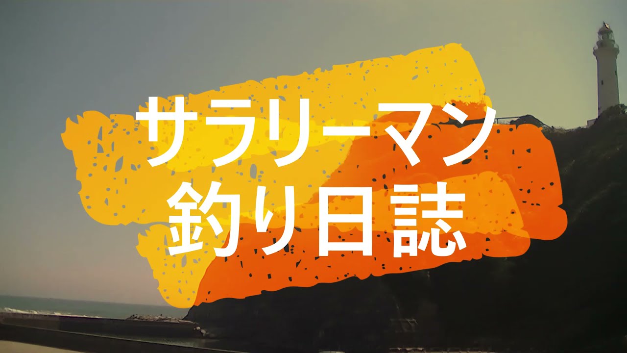 【サビキ釣り】仕事終わりに防波堤で夕飯を釣って帰る
