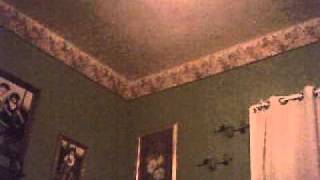 caught my mom voice on cam so i got bored.wmv