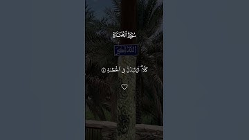 تلاوه خاشعه ماهر المعيقلي#قران #ماهرالمعيقلي  #quran #قران_كريم #تلاوة_خاشعة #alaa_mustafa_1