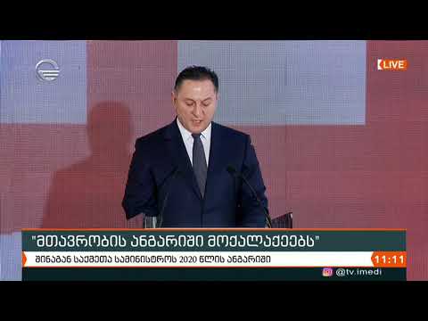 შინაგან საქმეთა სამინისტროს 2020 წლის ანგარიში