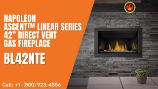 Napoleon Ascent™ Linear Series 42 Direct Vent Gas Fireplace BL42NTE