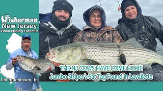 April 4th, 2024 New Jersey/Delaware Bay Fishing Report with Jim Hutchinson, Jr.