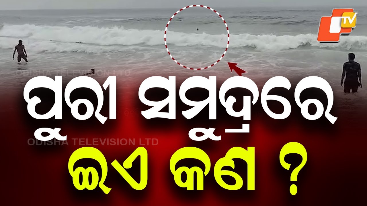 Lifeguard Rescues Tourist Drowning in Deep Sea at Puri Beach