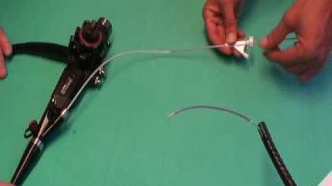 Endo-Flex stent biliar auto expandible