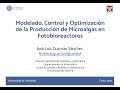 Curso Modelado, Optimización y Control de procesos de microalgas en bioreactores (Parte II)