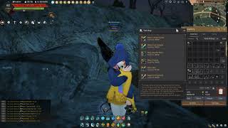 Black Desert Online pc Guide Lianas Tool Bag