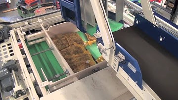 0102 Potatoes palletizing - SYMACH Palletizers