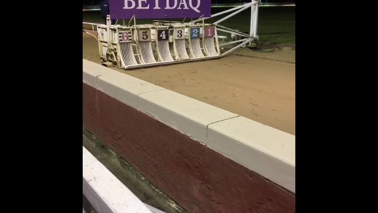 Doncaster greyhound racingT2 YouTube