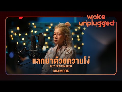 BOY PEACEMAKER - แลกมาด้วยความโง่ COVER BY CHAMOOK ชามุก สุชานันท์ [Wake Unplugged]