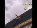 كبيرو ليصل تكبيركم عنان السماء الله اكبر الله اكبر كبيرو ليصل تكبيركم عنان السماء الله اكبر الله اكبر