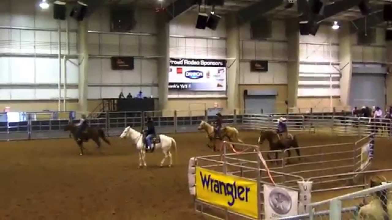 Barrel racing horse for sale YouTube
