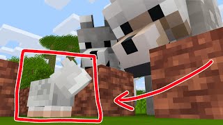 Monster School : Hamster Minecraft Maze - Wolf Life Animation by Cubic Animations 14,896 views 1 year ago 10 minutes, 36 seconds