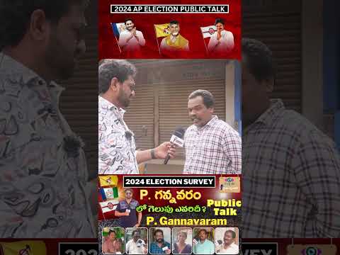 P Gannavaram Public