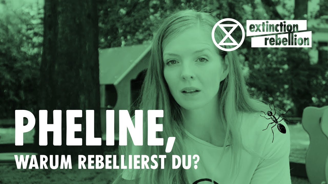Pheline, warum rebellierst du?