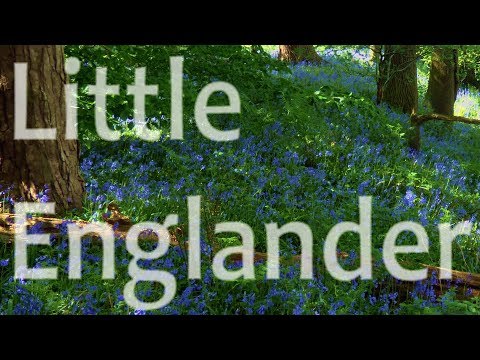 Little Englander