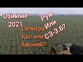 Озимая после КАС. Амоний, КАС, Селитра.?Рум,Или Сеелка?