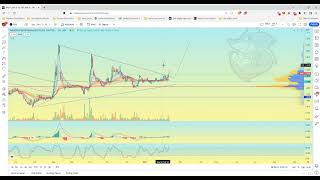 Asx Par Paradigm Biopharmaceuticals Potential Wedge Breakout
