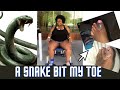 MY SNAKE BITE STORY WHICH LED TO ME LOSING 154 POUNDS | STORYTIME WITH THEDAWNELIZABETH