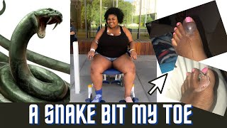 MY SNAKE BITE STORY WHICH LED TO ME LOSING 154 POUNDS | STORYTIME WITH THEDAWNELIZABETH