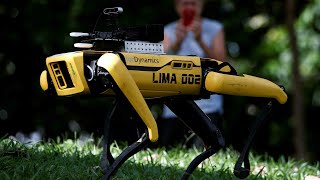 Singapore robot enforces safe distancing among park-goers