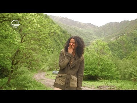 2019 წელს დაგროვილი პრაიმშოუს კურიოზები