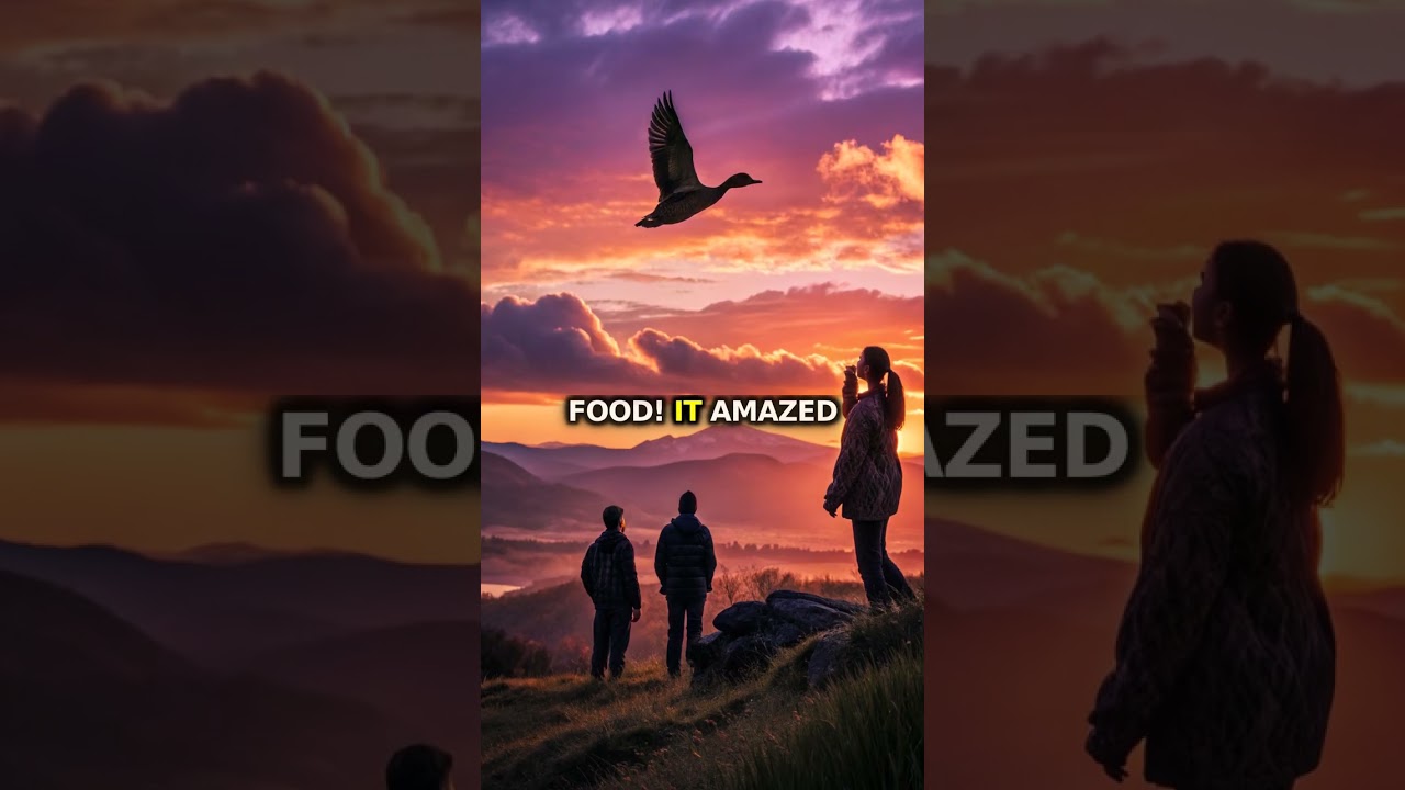 Discover how a 17th-century duck inspired the robotics we know today. Amazing tech history with …