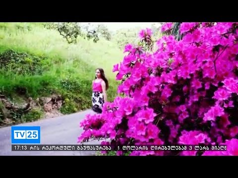 ბოტანიკურ ბაღში ყვავილების ფესტივალი გაიმართება