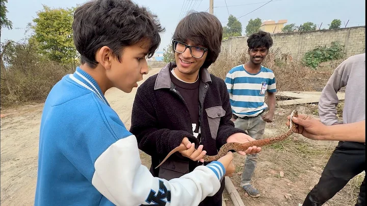 Zehreela Snake Pakad Liya 😲 Bach Gaye Aaj