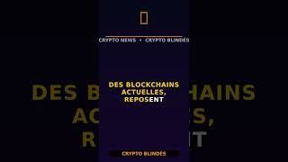 Algorand prépare l’apocalypse quantique : Bitcoin et Ethereum en danger ?